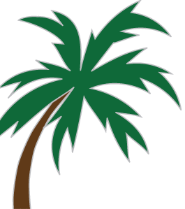 palm tree